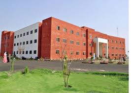 University Library Interior